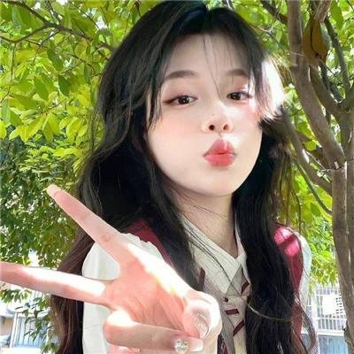 双子座计划